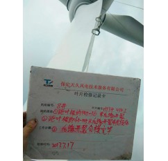 东北某风电场